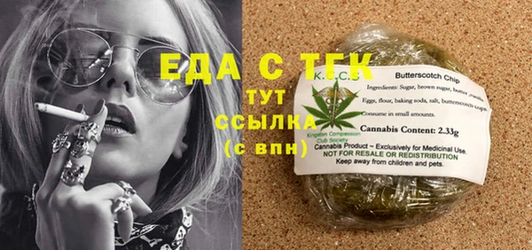 СК Алексин