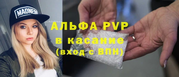 СК Алексин