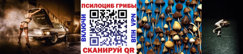 Псилоцибиновые грибы MAGIC MUSHROOMS Новозыбков